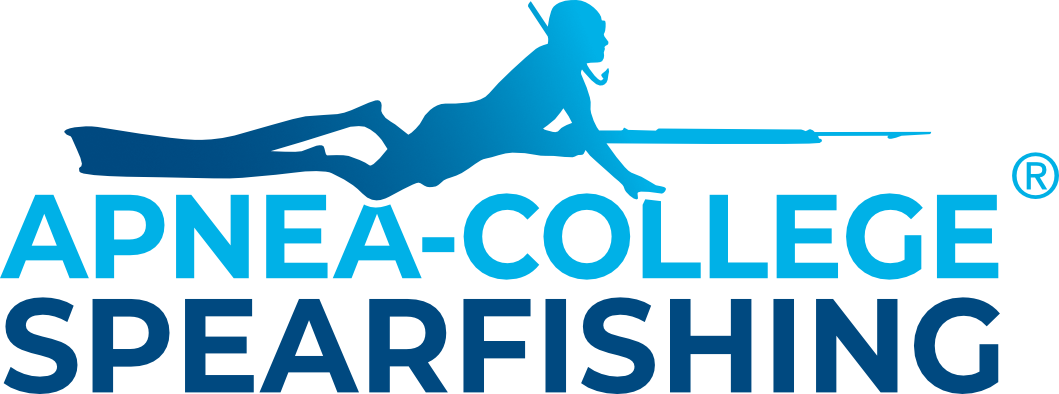 Apnea-College-Spearfishing