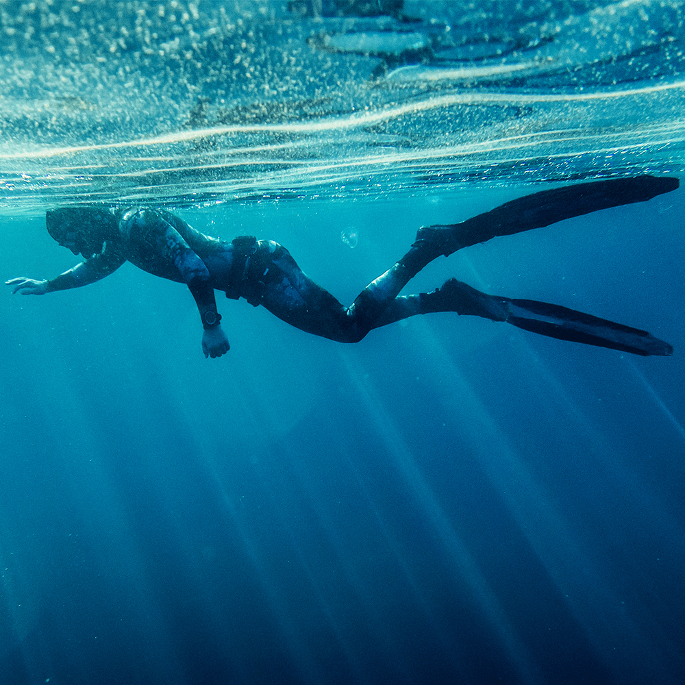 Freediving Level 1