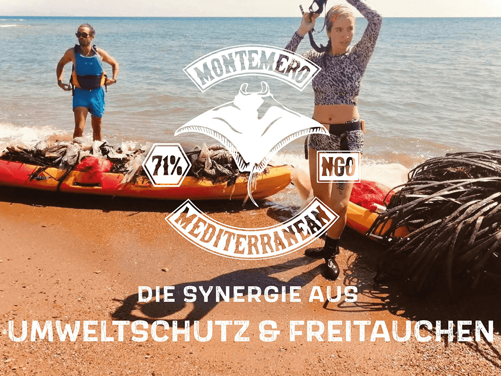 Apnea-College Experiencedays Freediving Apnoetauchen