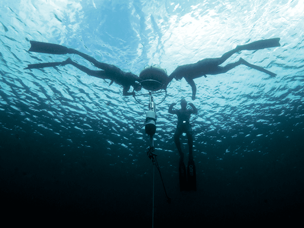 Apnea College Experiencedays No Limit Freediving Apnoetauchen